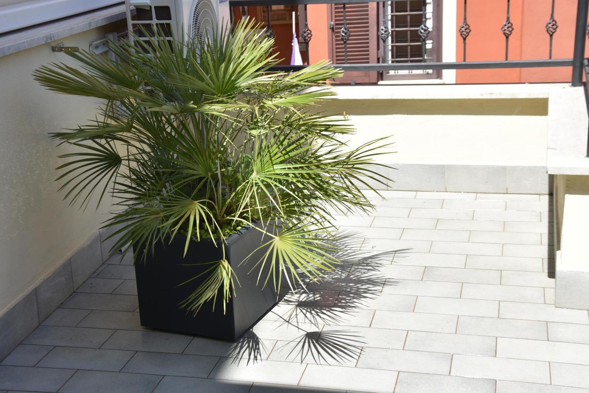 Diasof Apartments Rome Exterior photo